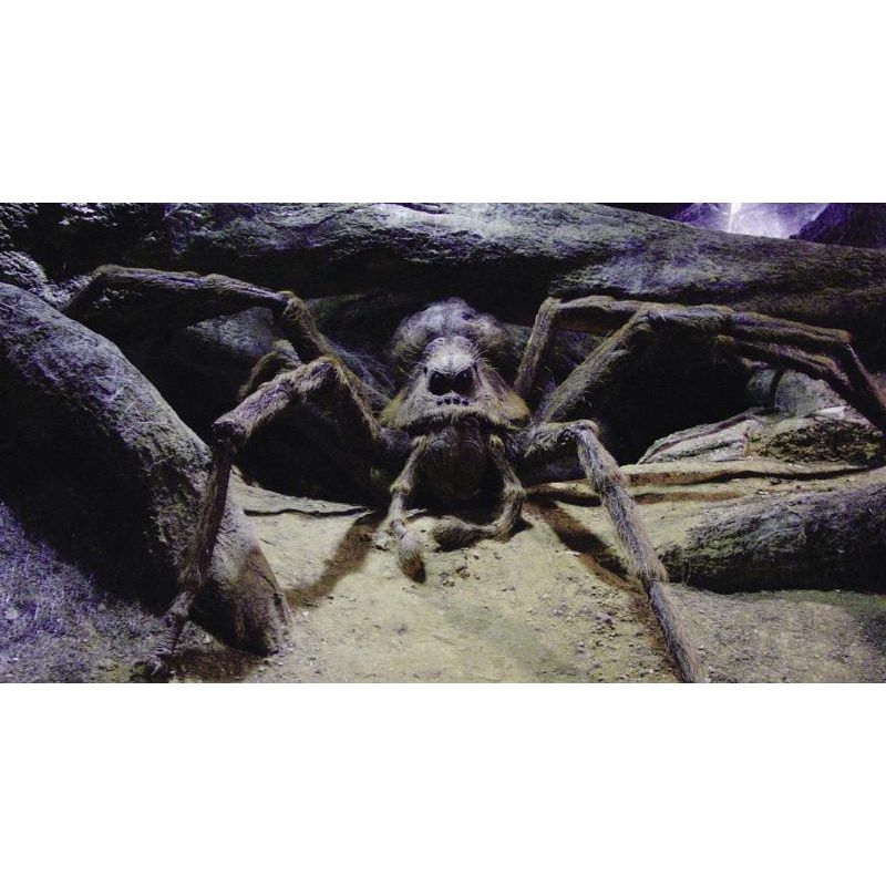 Harry Potter - Aragog